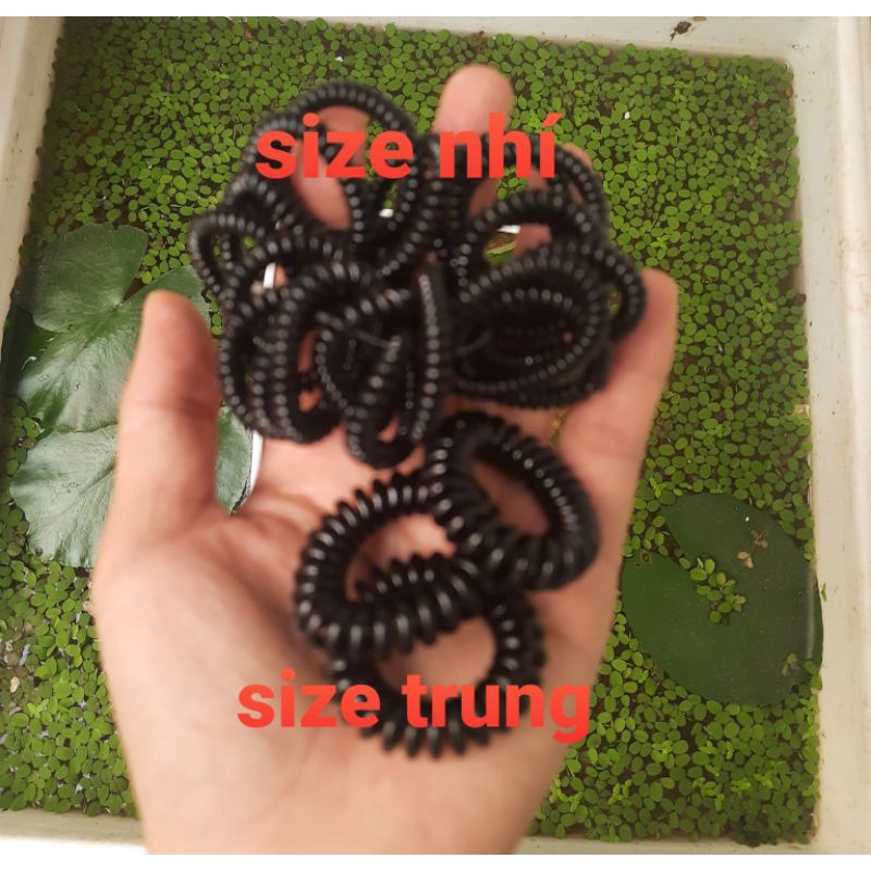 Sỉ 100 dây cột tóc lò xo size nhí