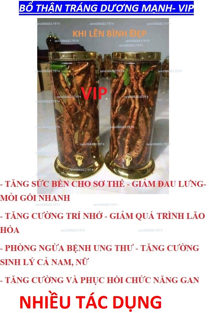 [XẢ HÀNG CHUẨN] SÂM XUYÊN ĐÁ LOẠI VIP TỐT NHƯ SÂM-HÀN-QUỐC-GIẢM ĐAU_LƯNG+MỎI GỐI+LÃOHÓA+UNG_THƯ_GAN+TĂNG CƯỚNG SỨCKHỎE+SINHLÝ+TRÍ NHỚ SXD 1.1