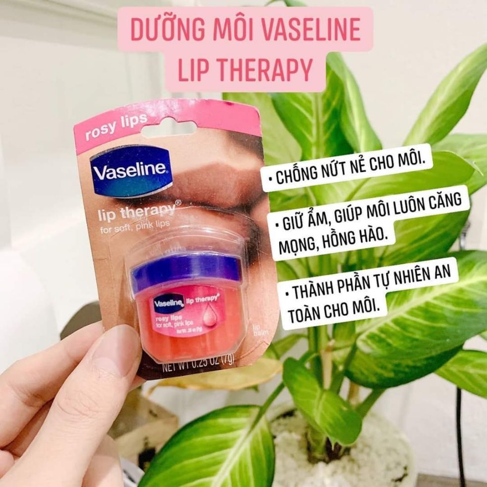 Dưỡng môi Vaseline Lip Therapy