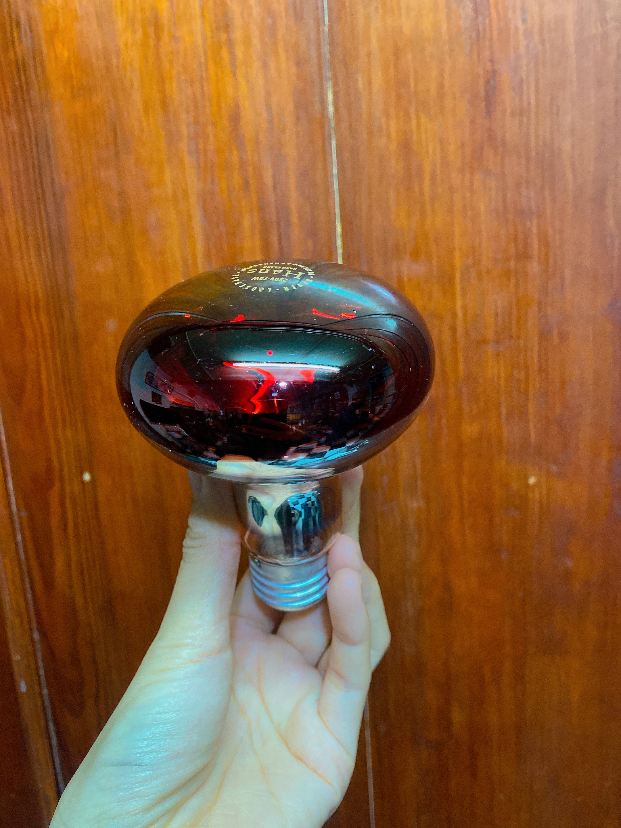 Bóng sưởi, đèn sưởi ấm cho thú cưng
