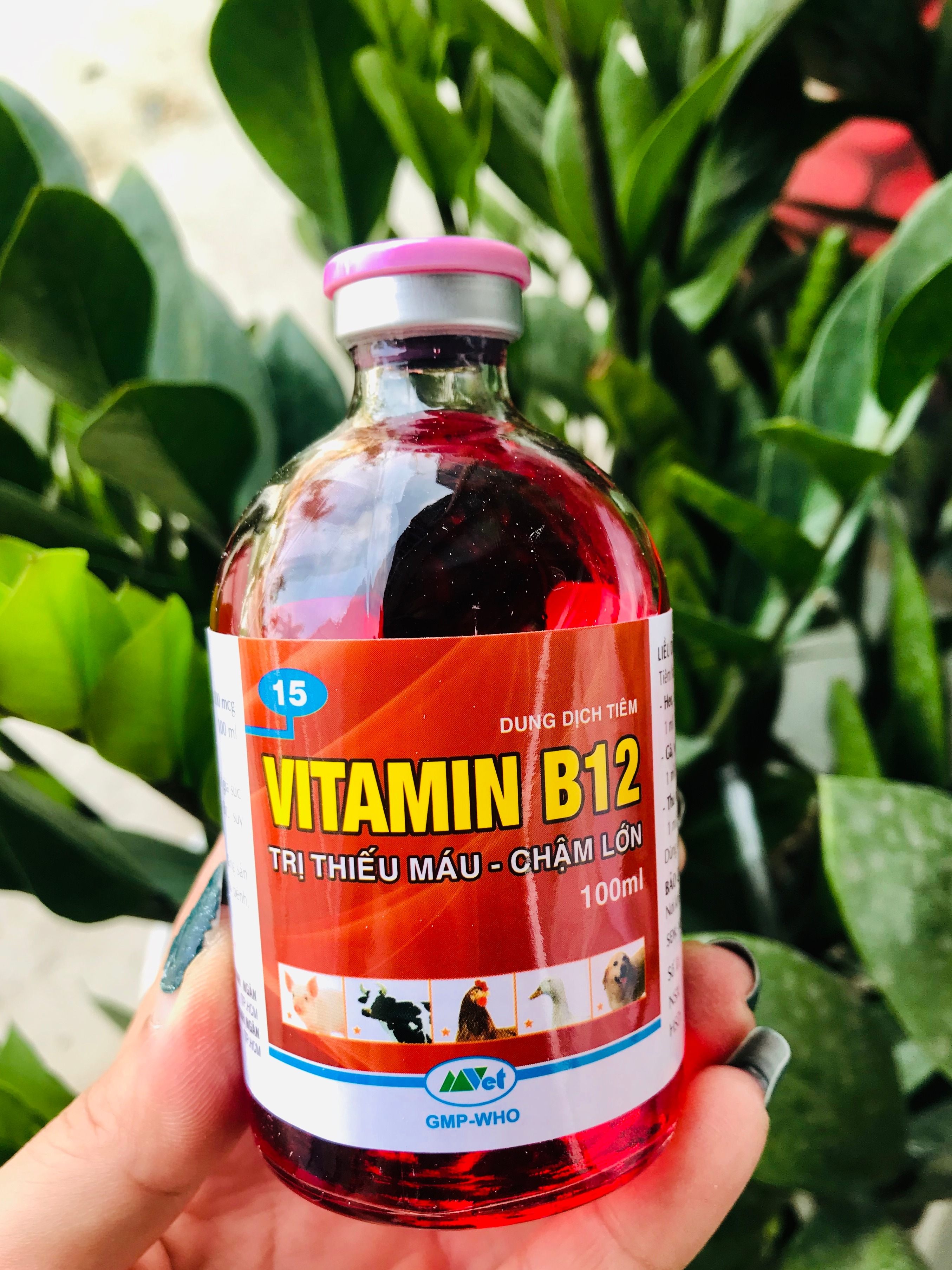 Combo sản phẩm đủ bộ cho hoa Lan (6 sản phẩm)