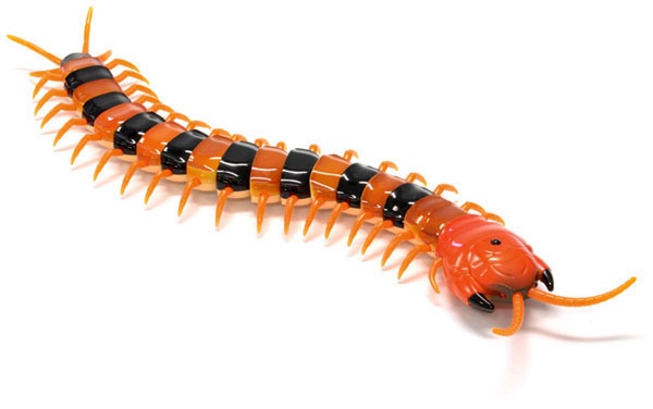 Con rết điều khiển từ xa