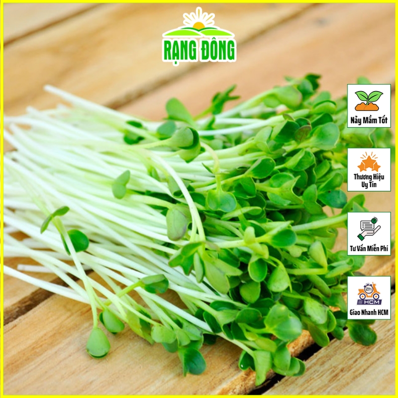 Hạt giống Rau Mầm Rau Muống Nhanh Thu Hoạch (gói 100 gram)  - Hạt Giống Rạng Đông