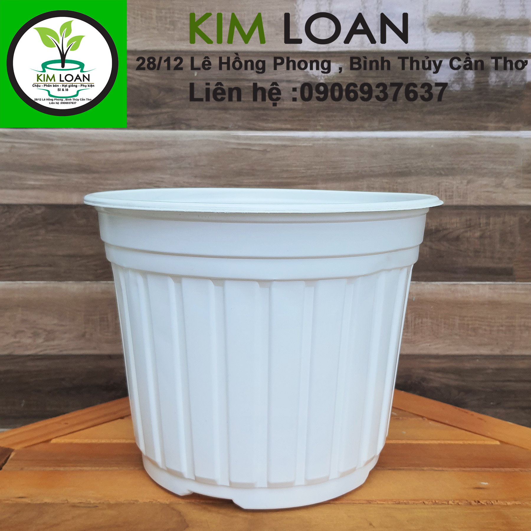 Combo 50 chậu nhựa tròn vành cứng C6 23x16cm