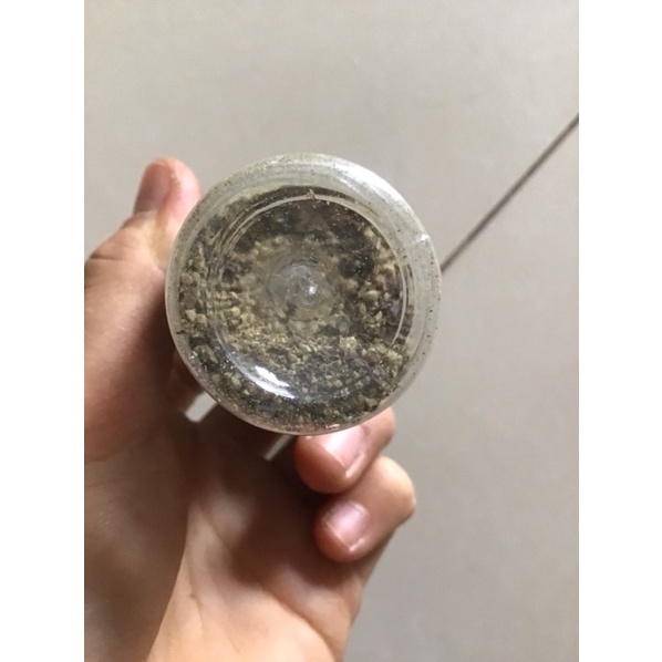 Hạt tiêu xay nguyên chất lọ 25g