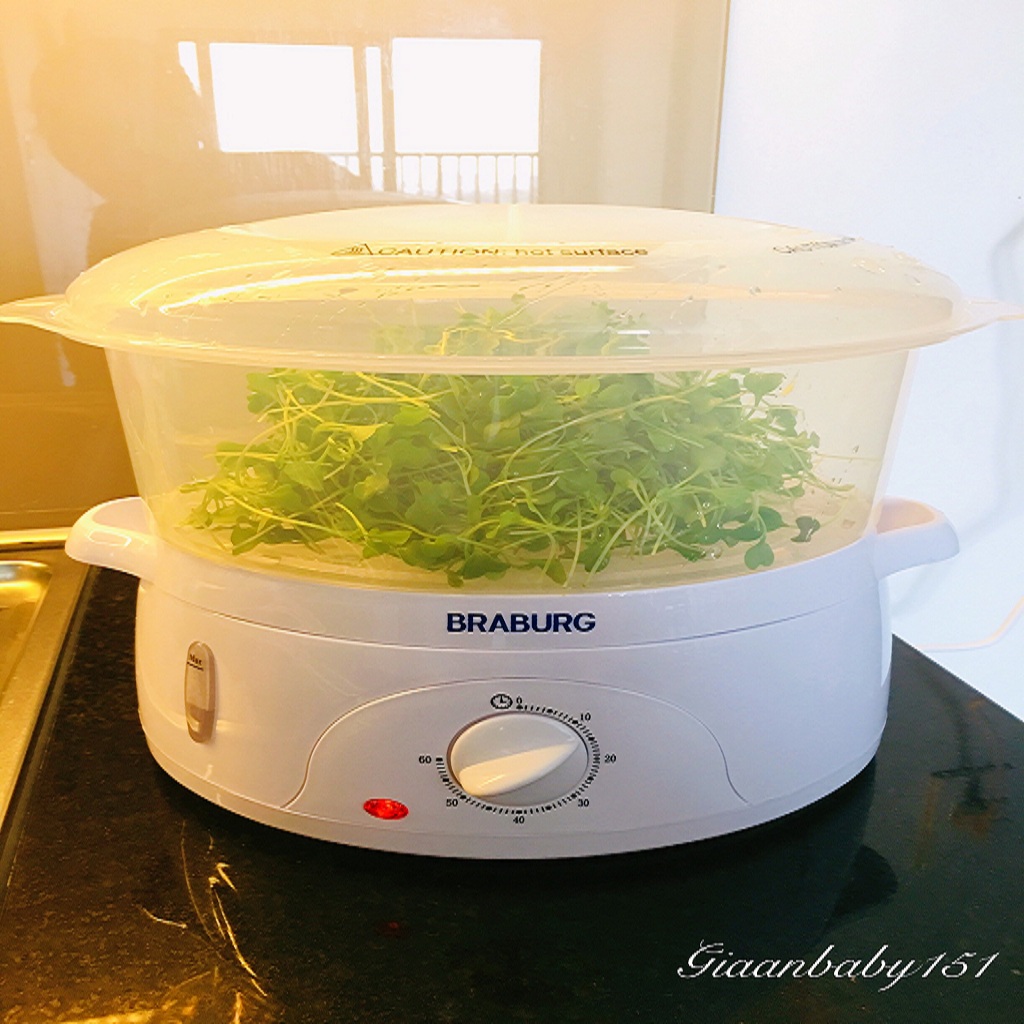 Bộ Nồi Hấp Điện Đa Năng 3 Tầng Braburg