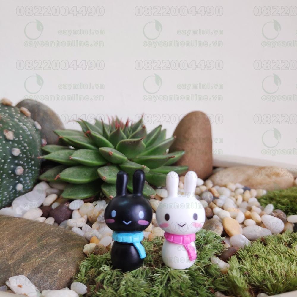 Cặp đôi thỏ dễ thương - Trang trí tiểu cảnh Terrarium