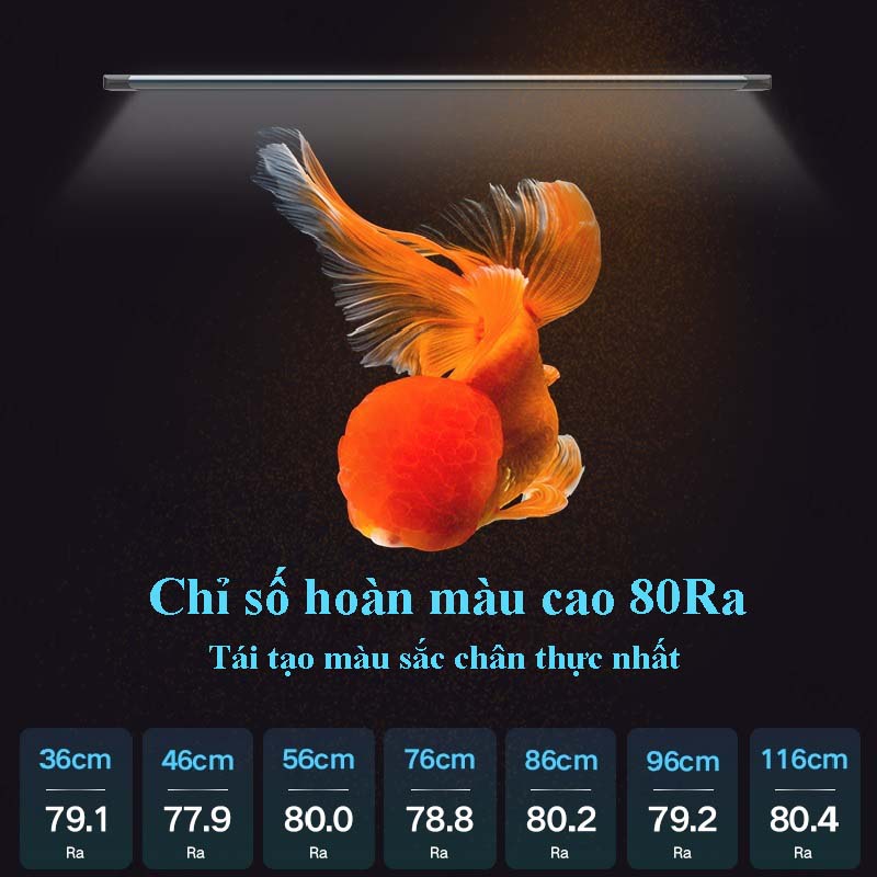 Đèn bể cá vàng JIYIN
