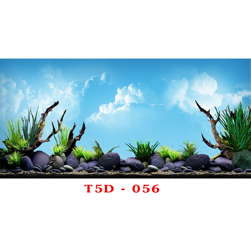 Tranh 3D bể cá mã T5D-056 kt (60,80,90,100,1m2,1m5,1m6)