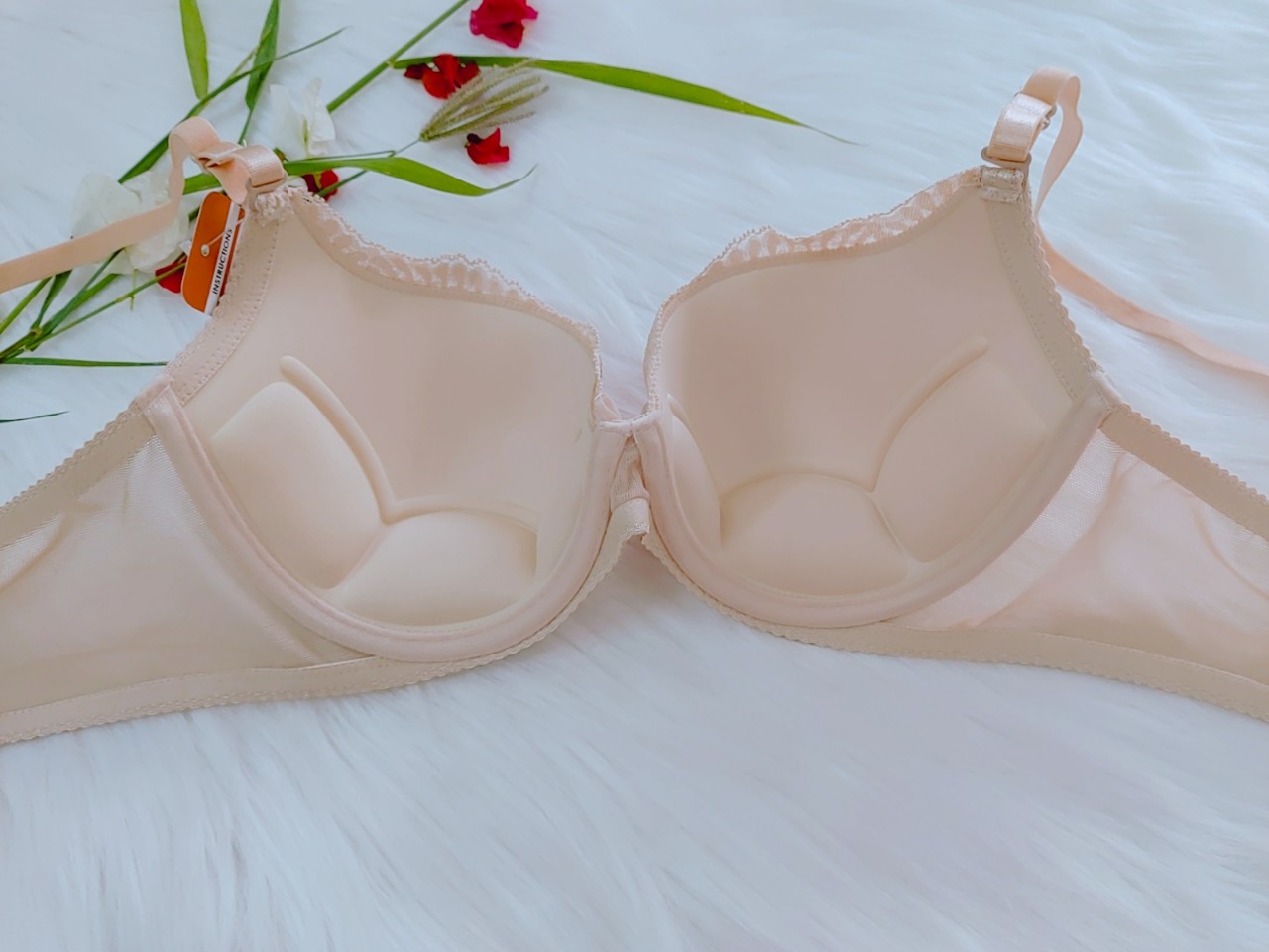 Áo ngực mut đút mỏng Bigsize 9372 Orla