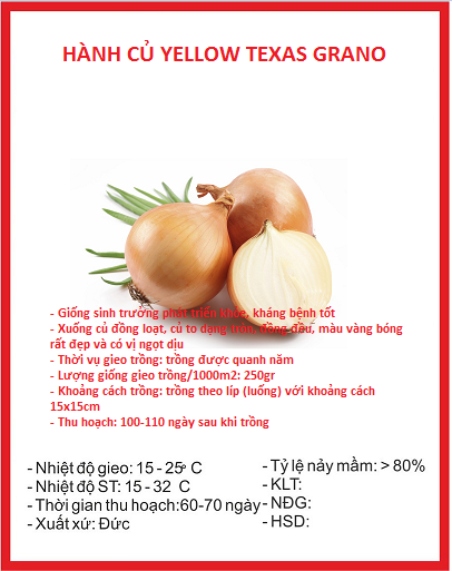 Hạt Giống Hành Củ Yellow Texas Grano - Gói 2gram