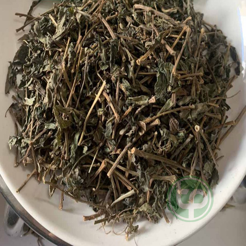 [Hàng mới về] Cây bọ mắm sấy khô 1kg - Thảo Dược Tấn Phát - Hỗ trợ cải thiện sức khỏe
