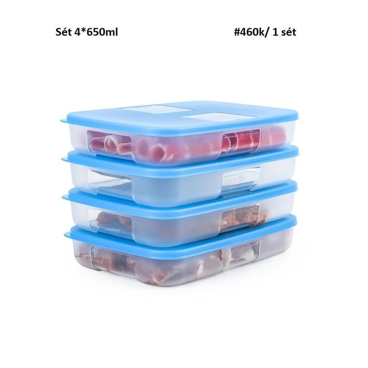 Hộp trữ đông Tupperware 650ml dẹt