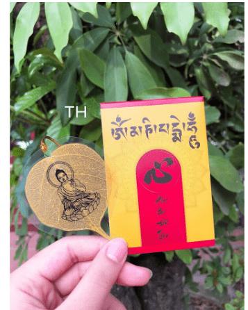 LÁ BỒ ĐỀ MAY MẮN - BÌNH AN