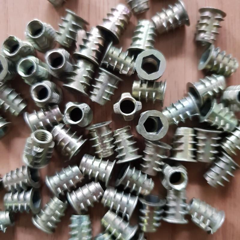 Túi ốc cấy gỗ phi 6 - 100 con