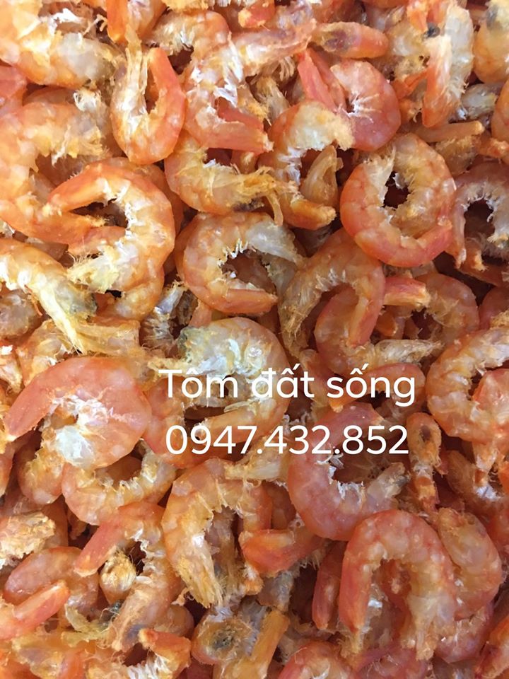 500g TÔM ĐẤT PHƠI KHÔ (lớn) - BÁN ĐÚNG GIÁ - HÀNG ĐÚNG CHẤT