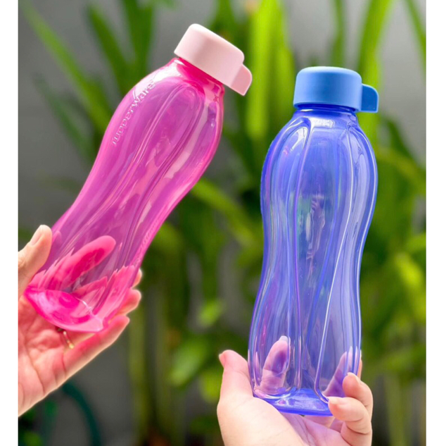 Bình Nước Tupperware Eco Bottle Gen II 500ml