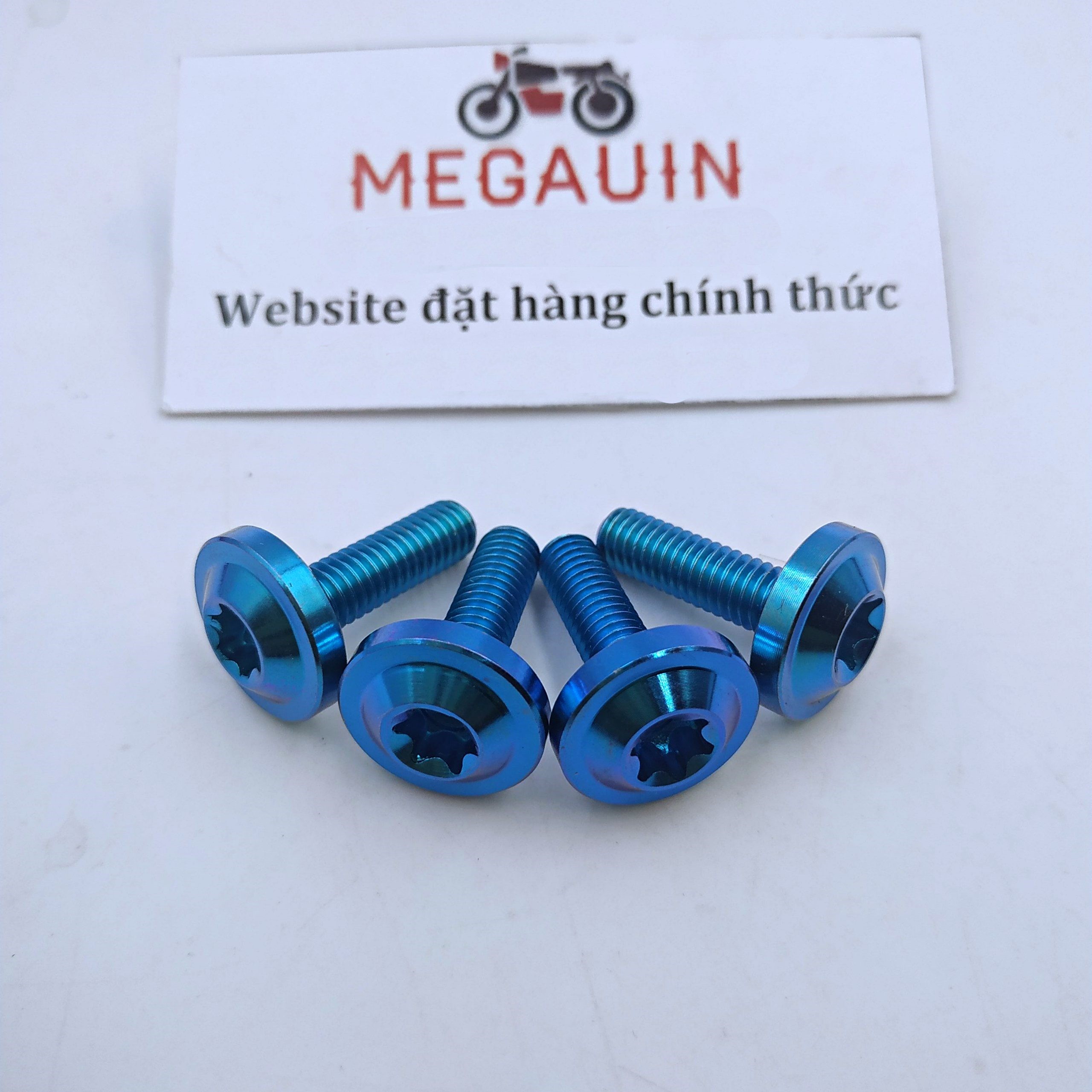 Ốc TITAN GR5 Gắn Mão (Mào Chắn Gió) Winner X