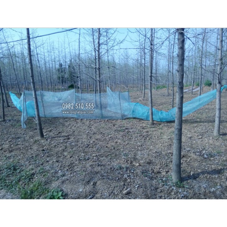 Dớn Bắt Cá, Tôm, Tép, Cua .Hiệu quả cao  (cam kết bảo hành đổi trả trong 2 tuần đầu)