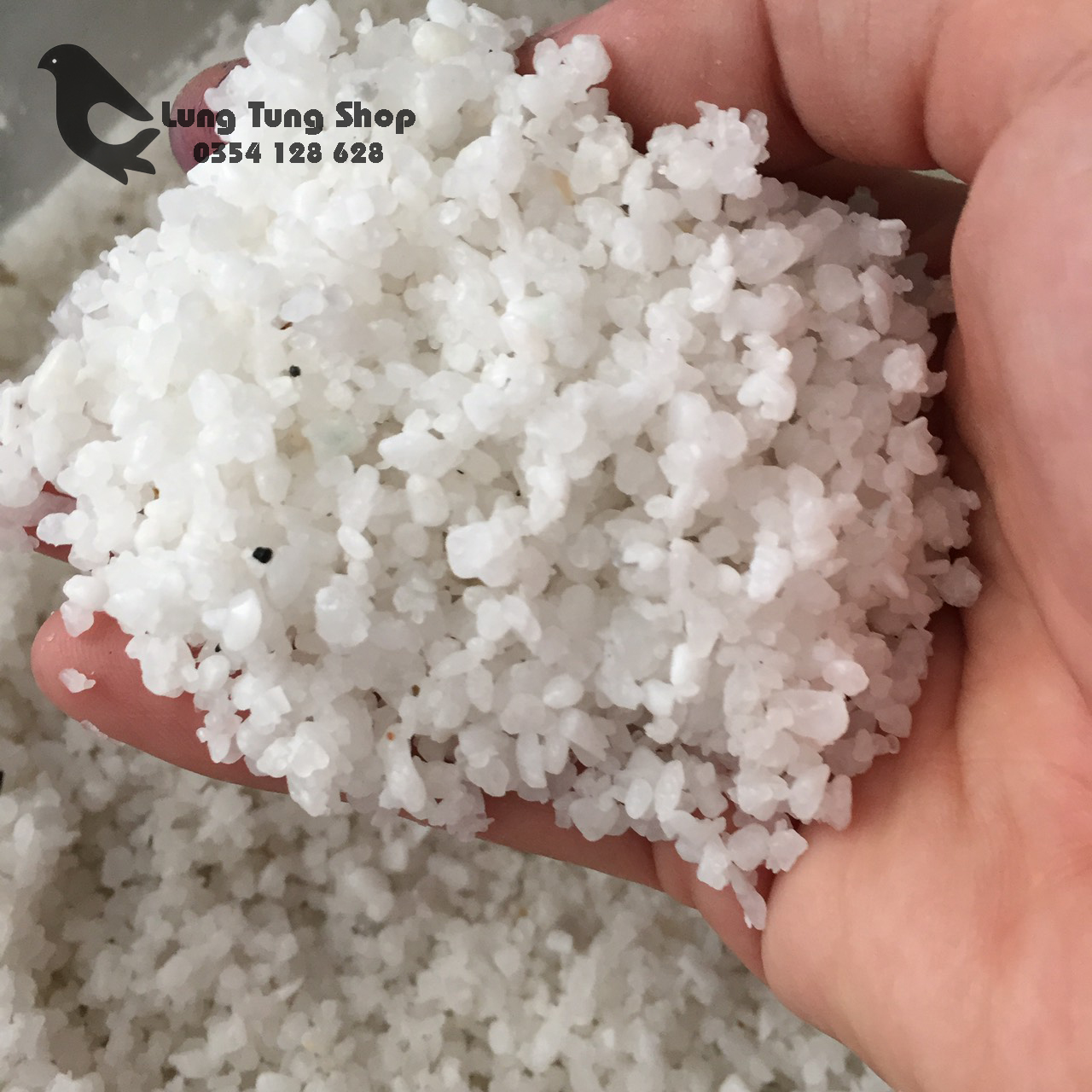 [HCM]Đá sỏi màu trắng ( size nhuyễn ) - đá trang trí