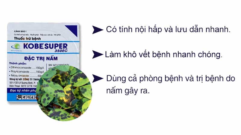 Thuốc trị nấm bệnh kobe super 350ec 10ml _đặc trị nấm bệnh lưu dẫn cao