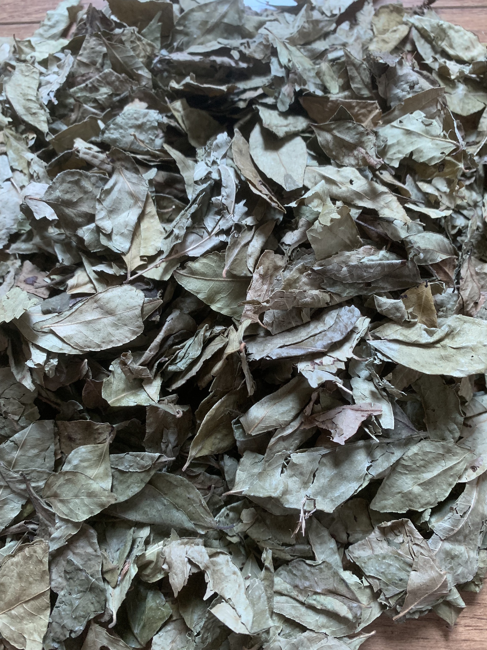 Lá cà ri khô ( Curry leaf) gói 50g