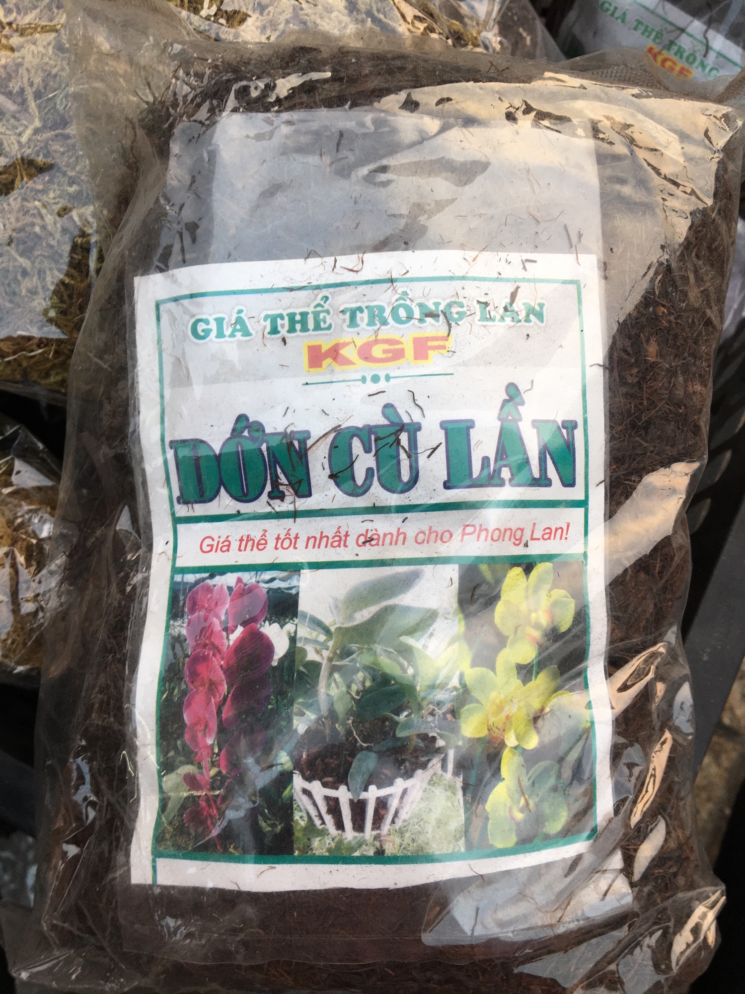 Dớn cù lần ,dớn cọng giá thể trồng Lan