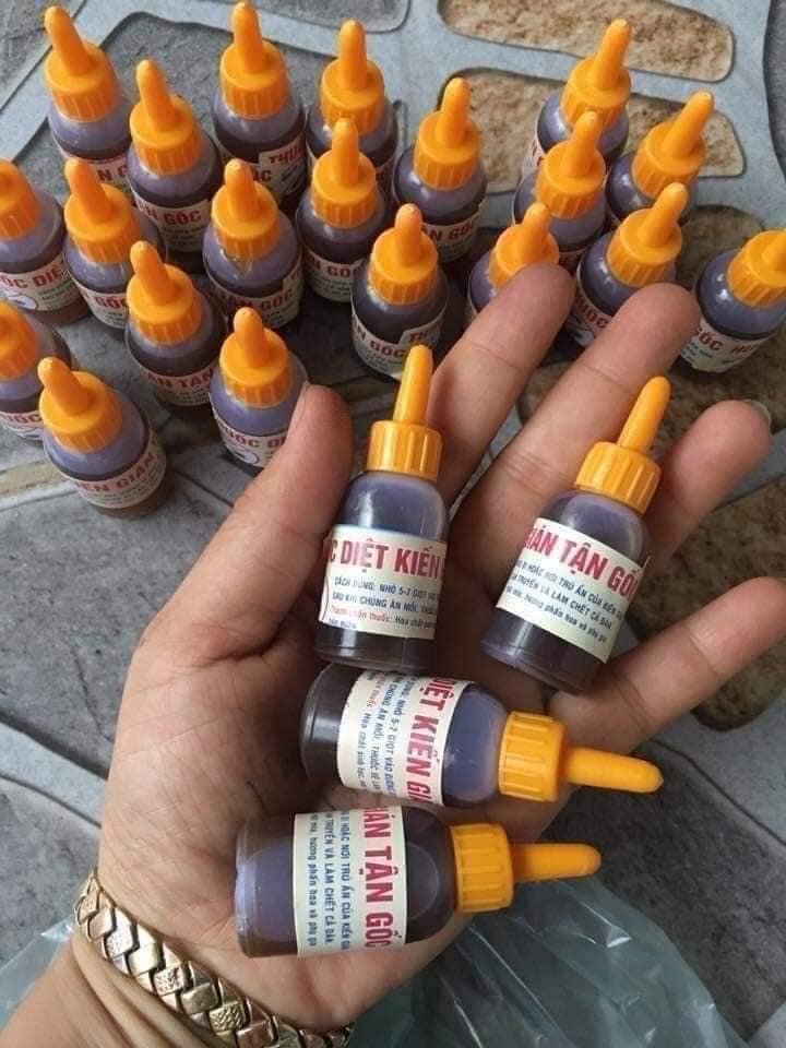 FREESHIP - Thuốc diệt kiến sinh học