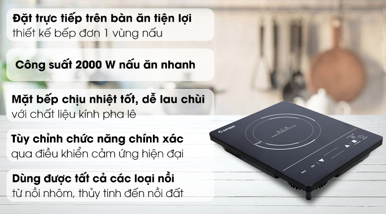 Bếp hồng ngoại Rapido RC2000ES (Giá áp dụng giao tại HN, HCM& các tỉnh liên hệ shop)