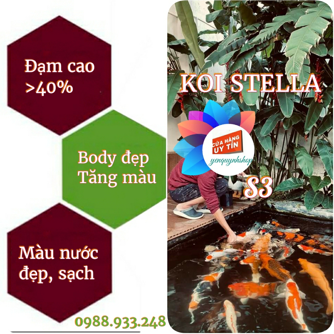 Cám KOI STELLA S3 (3mm)cho cá Koi, cá Cảnh/ 1KG