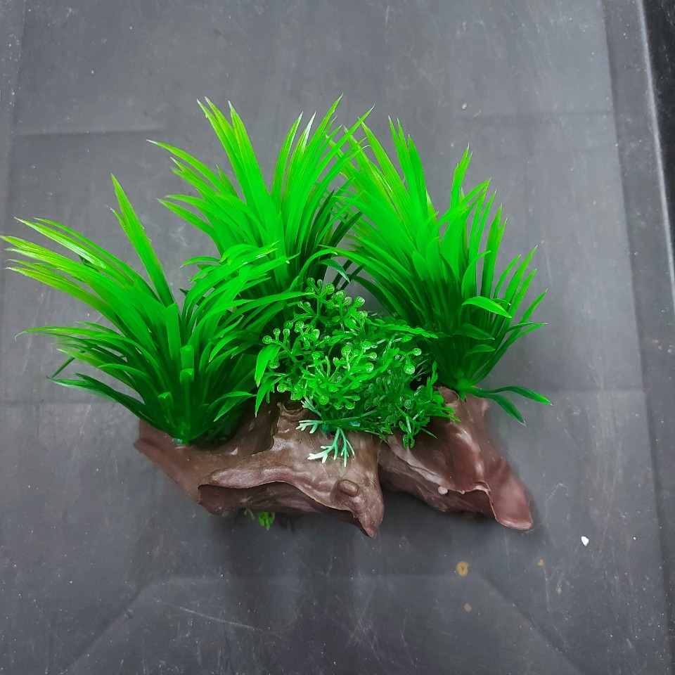 Cây nhựa trang trí bể cá: mẫu đế gỗ