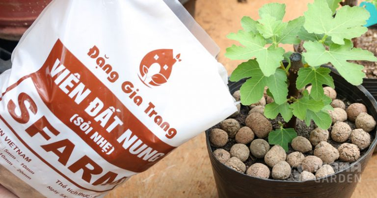 Viên đất nung SFARM (Sỏi nhẹ)