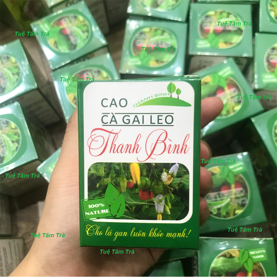 Cao cà gai leo Thanh Bình