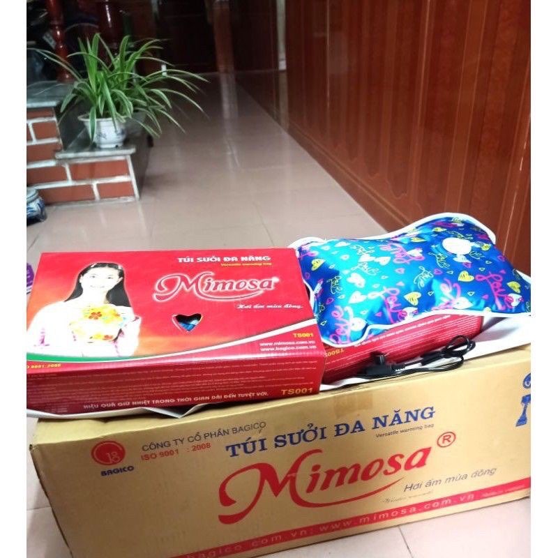 túi sưởi đa năng