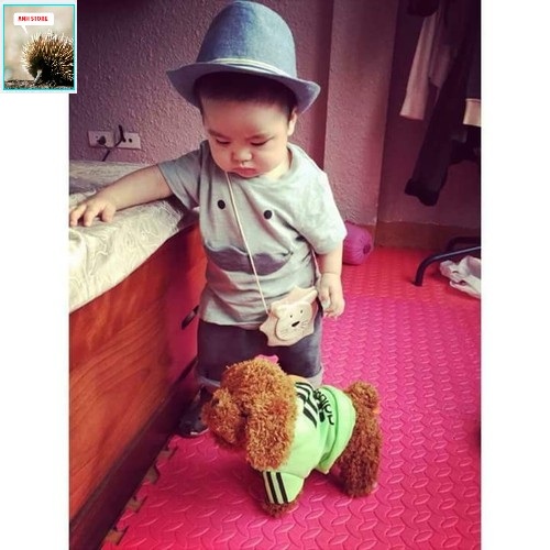 [HCM]Chó Nhồi Bông Biết Đi Biết Hát cho béchó nhồi bông