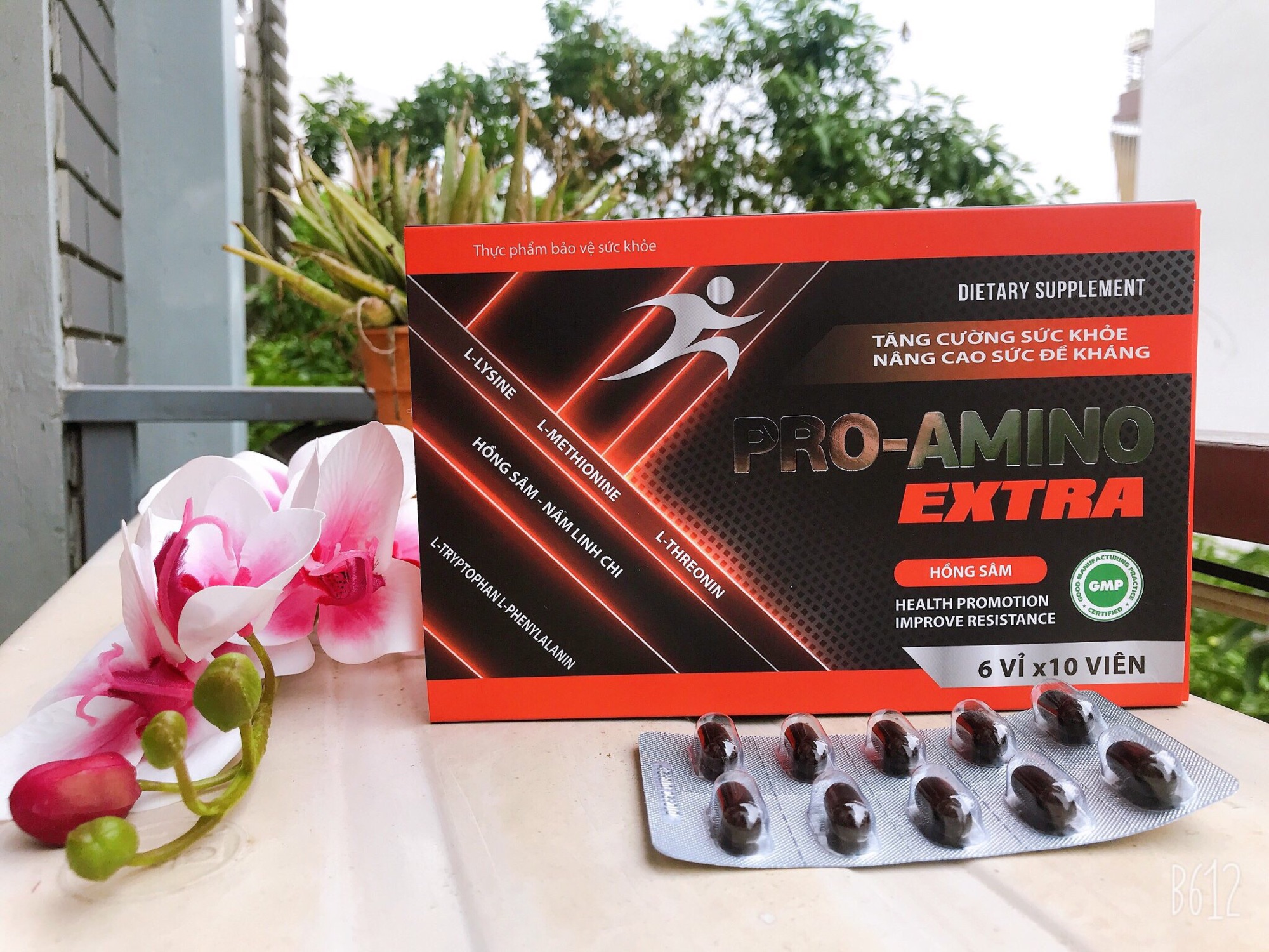 PRO - AMINO EXTRA