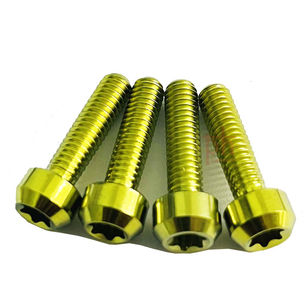 [HCM]ỐC Nắp Dầu TITAN GR5 4li15 Đầu Trụ