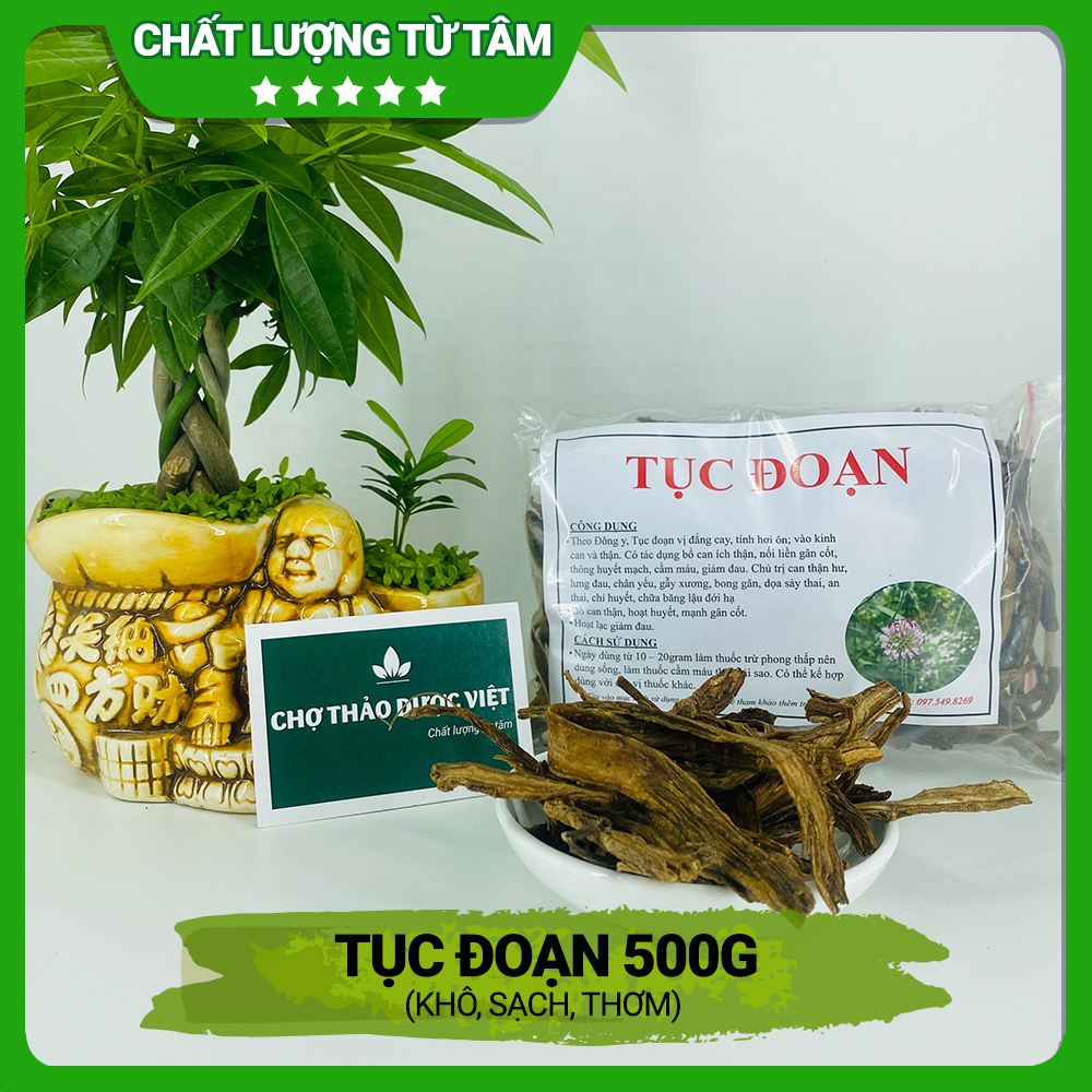 Tục đoạn khô 500g, hỗ trợ giảm đau xương khớp, bổ can thận, mạnh gân cốt