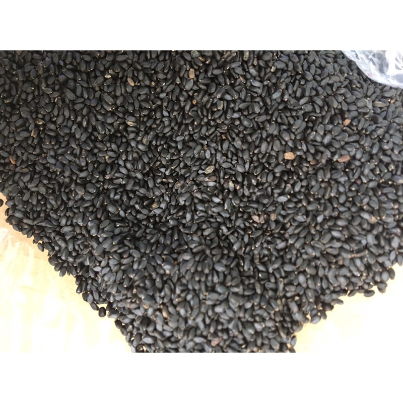 hạt é / húng quế 1 kg giá rẻ