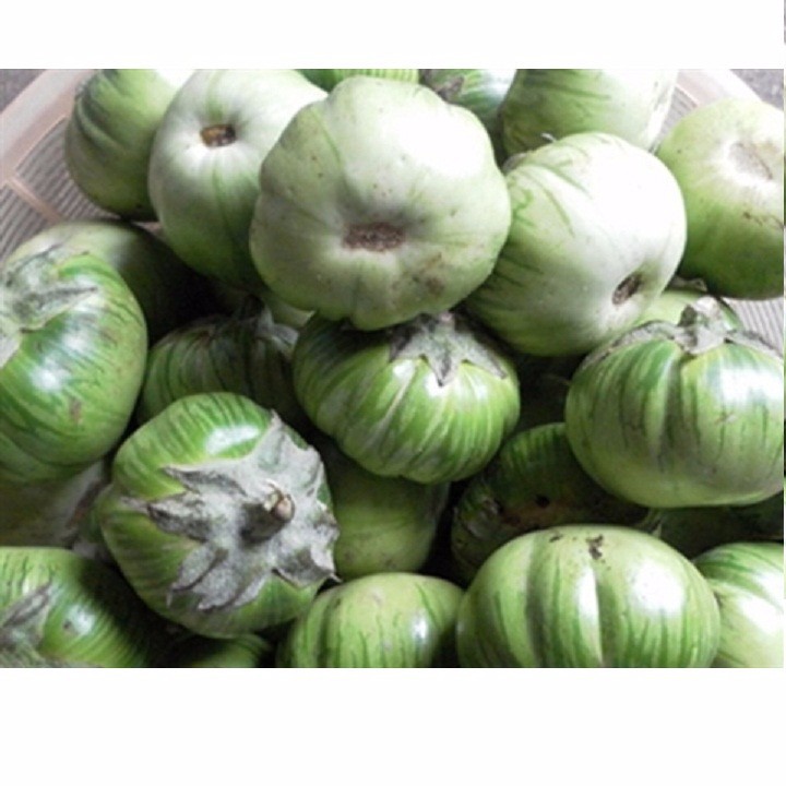 Gói 1GR hạt giống Cà Dĩa Cao Sản
