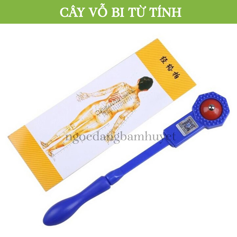 Cây vỗ thông kinh lạc ứng dụng từ sách dưỡng sinh