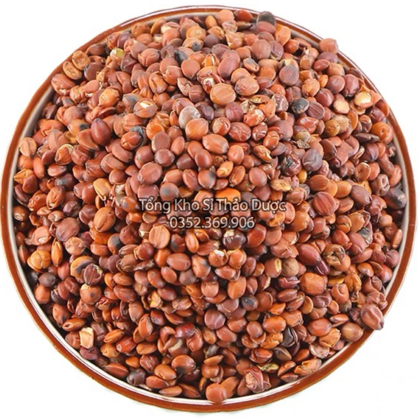 Táo Nhân 100g (Toan Táo Nhân)
