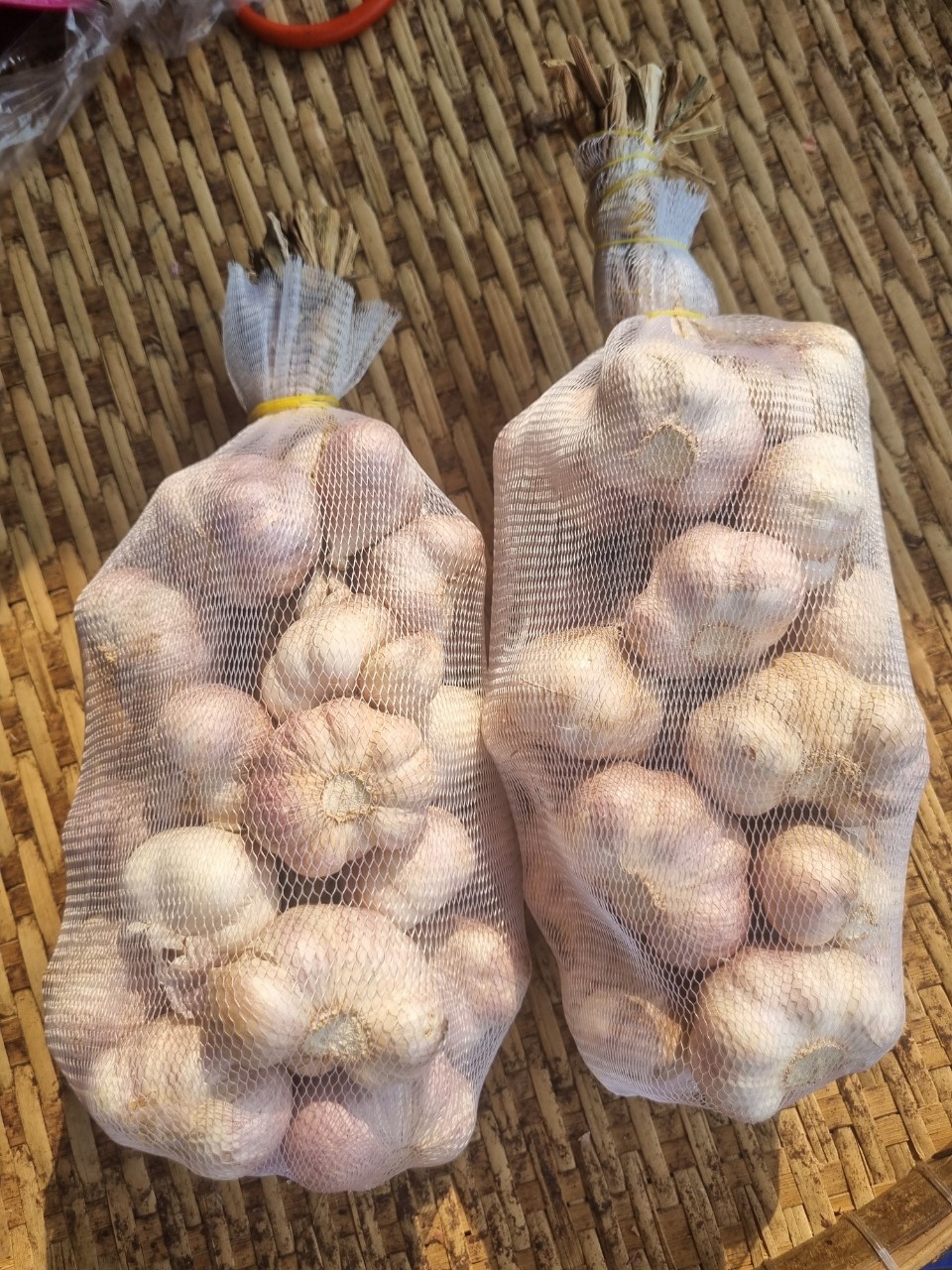 Tỏi Hải Dương