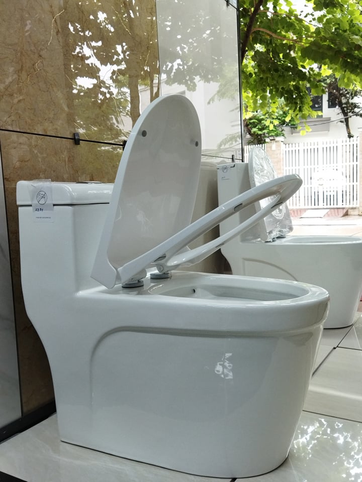 Bồn cầu cao cấp liền khối mã 2271