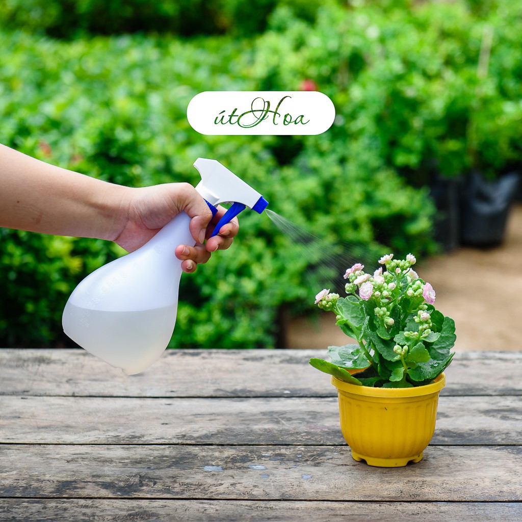 Chậu Treo Trái Bí Mini Trồng Sen Đá, Hoa Kiểng (Kèm Dây Treo)