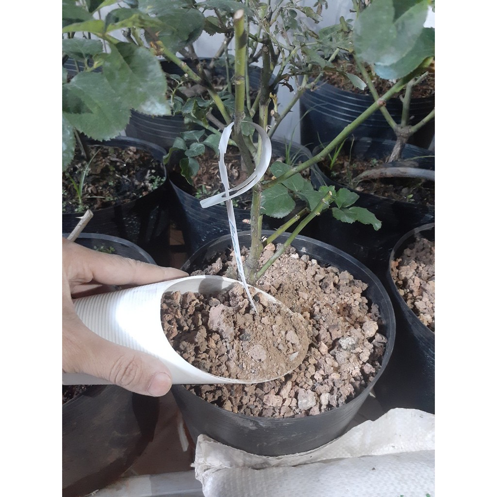 3.5kg XỈ THAN TỔ ONG ( Đã qua xử lý)