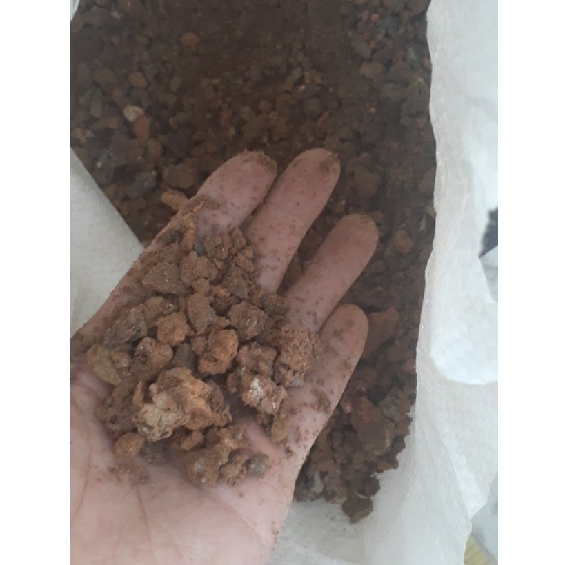 3.5kg XỈ THAN TỔ ONG ( Đã qua xử lý)
