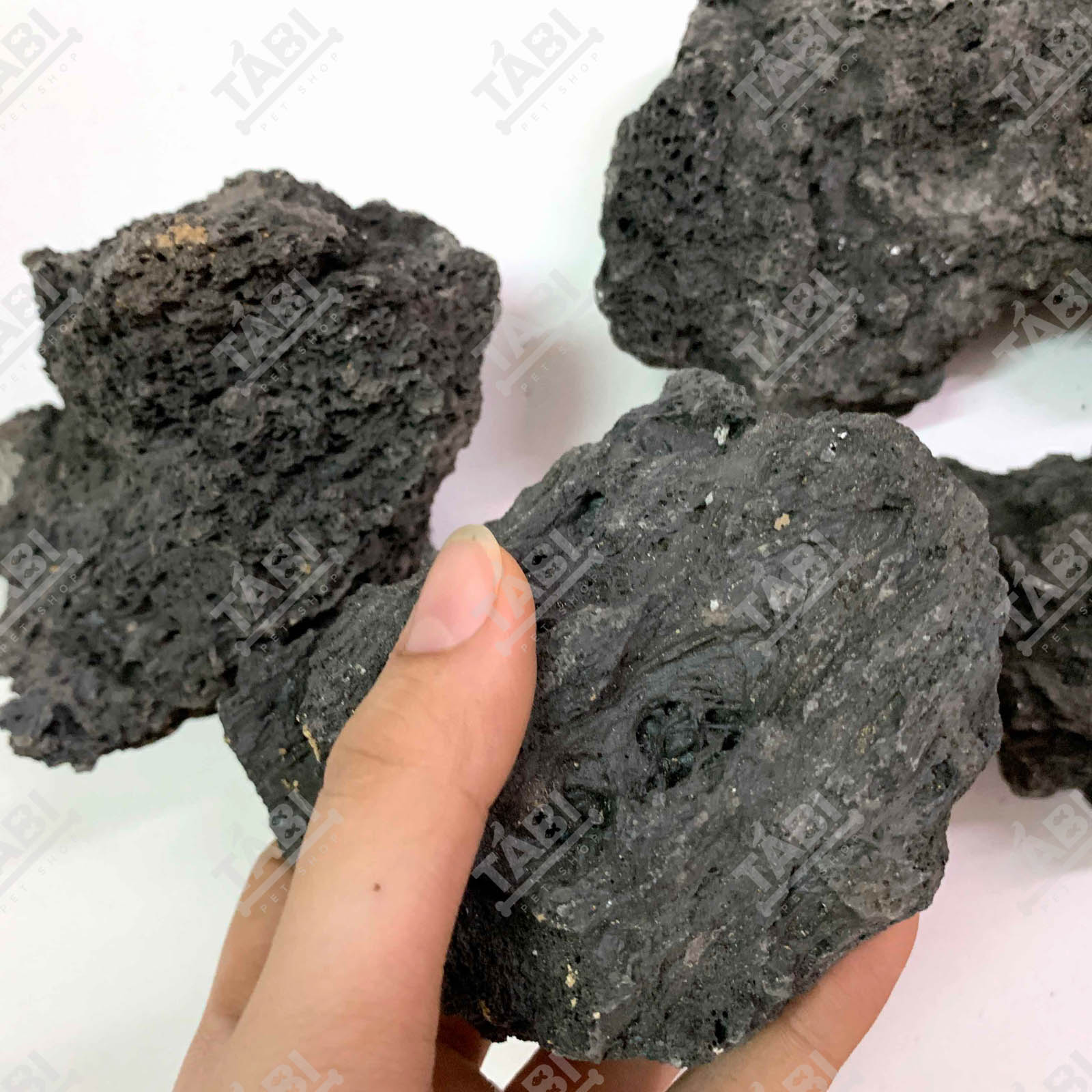 1KG Đá Đen Phan Thiết Setup Hồ Cá - Đá Đen Phan Thiết Trang Trí Bể Cá