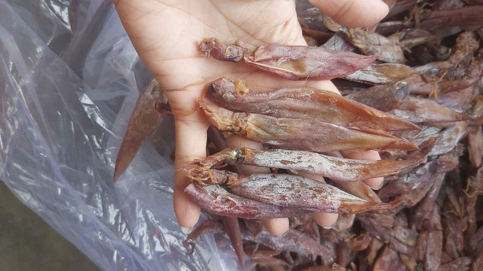 MỰC MUỐI, 500g MỰC CƠM MUỐI NHẠT, ĐẶC SẢN NHA TRANG