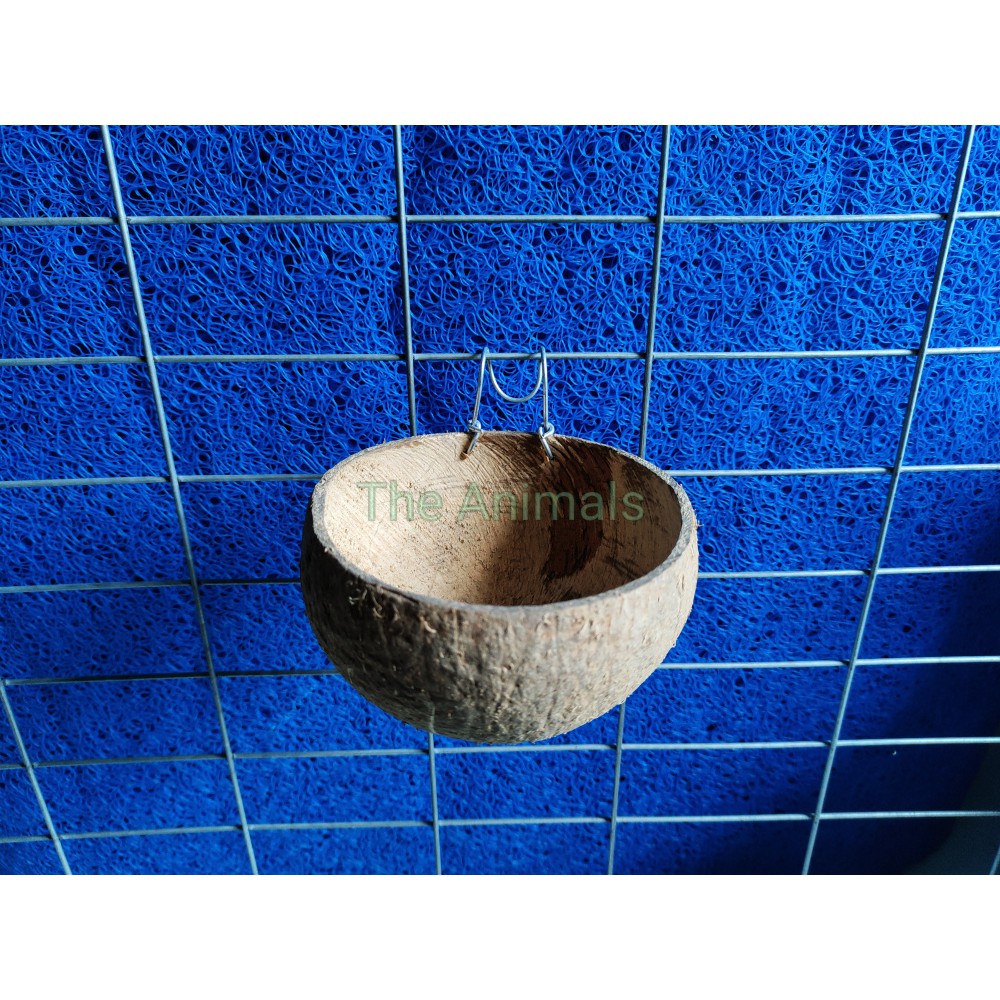 [HCM]Gáo dừa đựng thức ăn nước uống cho gà đá chim trĩ (gáo thường)